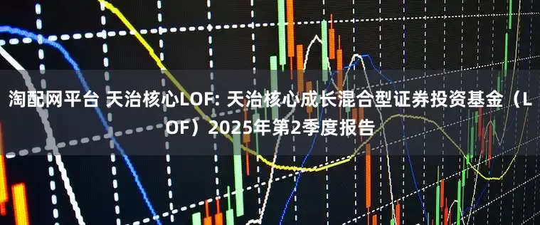 淘配网平台 天治核心LOF: 天治核心成长混合型证券投资基金（LOF）2025年第2季度报告